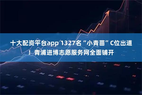 十大配资平台app 1327名“小青苗”C位出道!青浦进博志愿服务网全面铺开