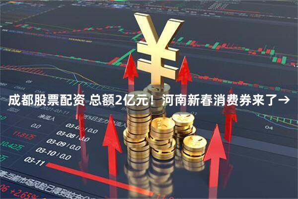 成都股票配资 总额2亿元！河南新春消费券来了→