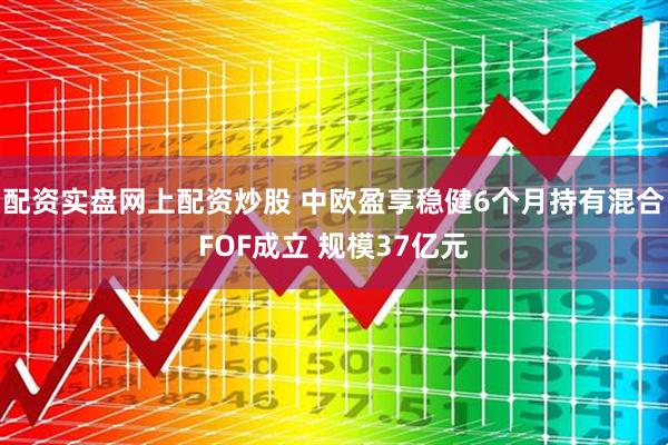 配资实盘网上配资炒股 中欧盈享稳健6个月持有混合FOF成立 规模37亿元