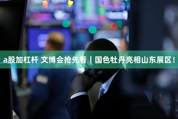 a股加杠杆 文博会抢先看｜国色牡丹亮相山东展区！